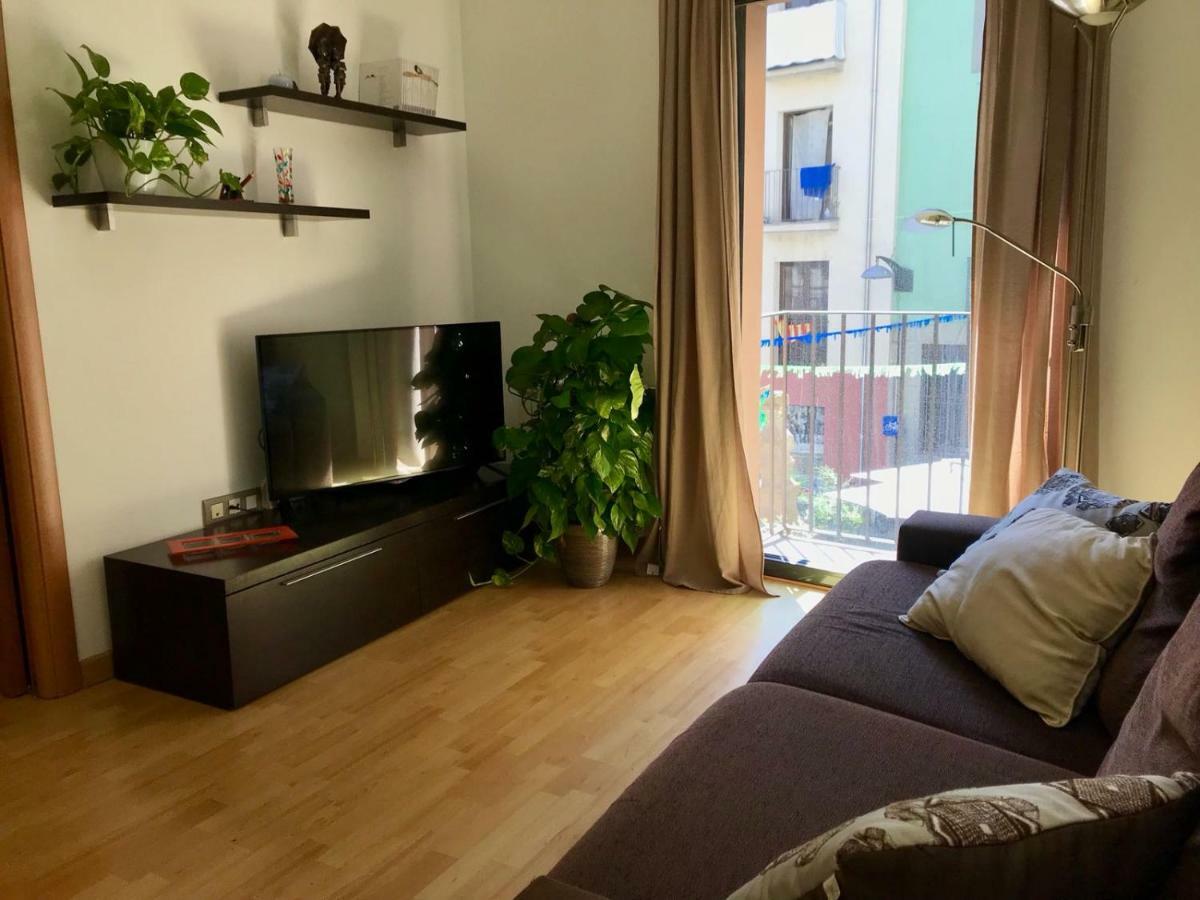 Apartament Centre Historic A Olot Apartman Kültér fotó
